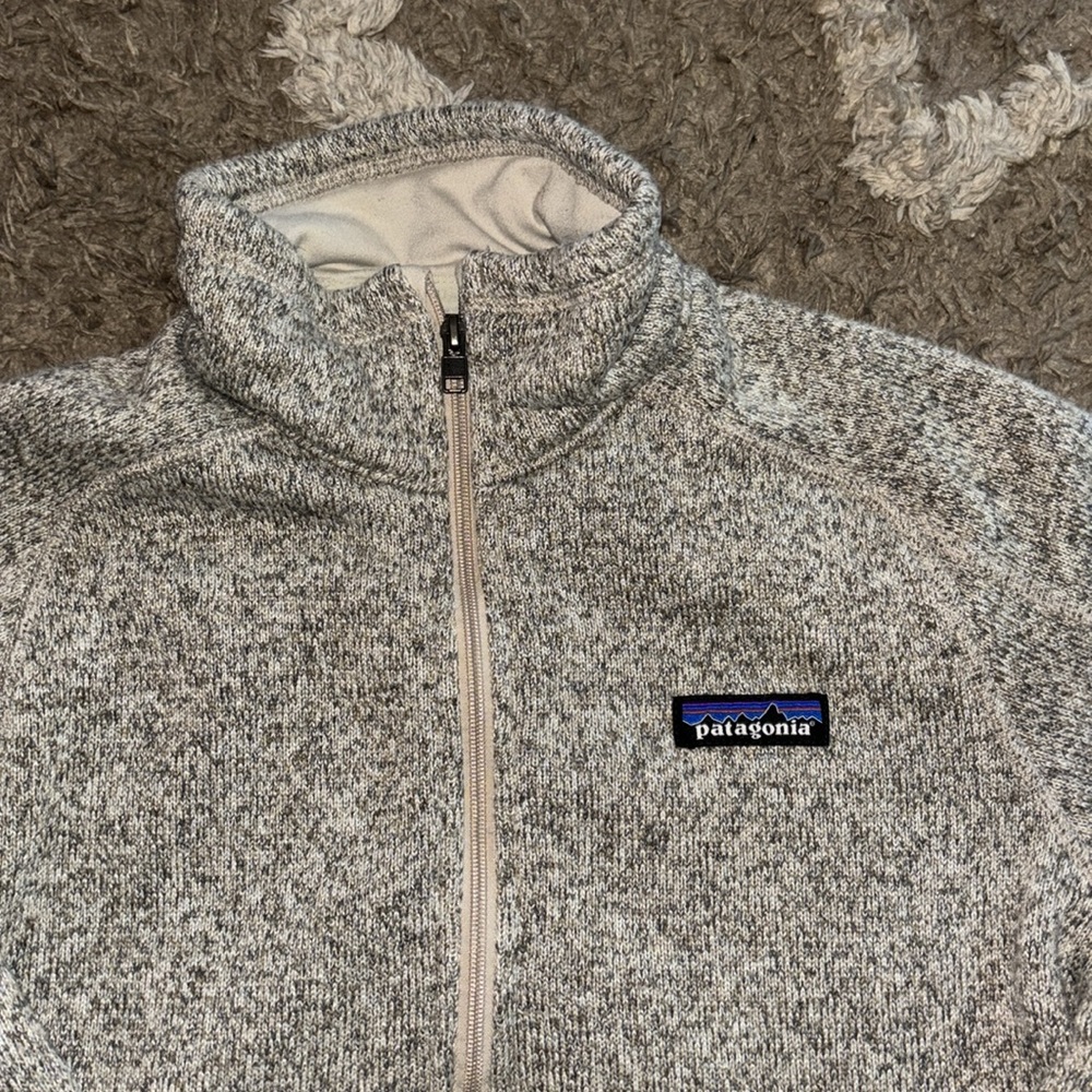 Patagonia better sweater
